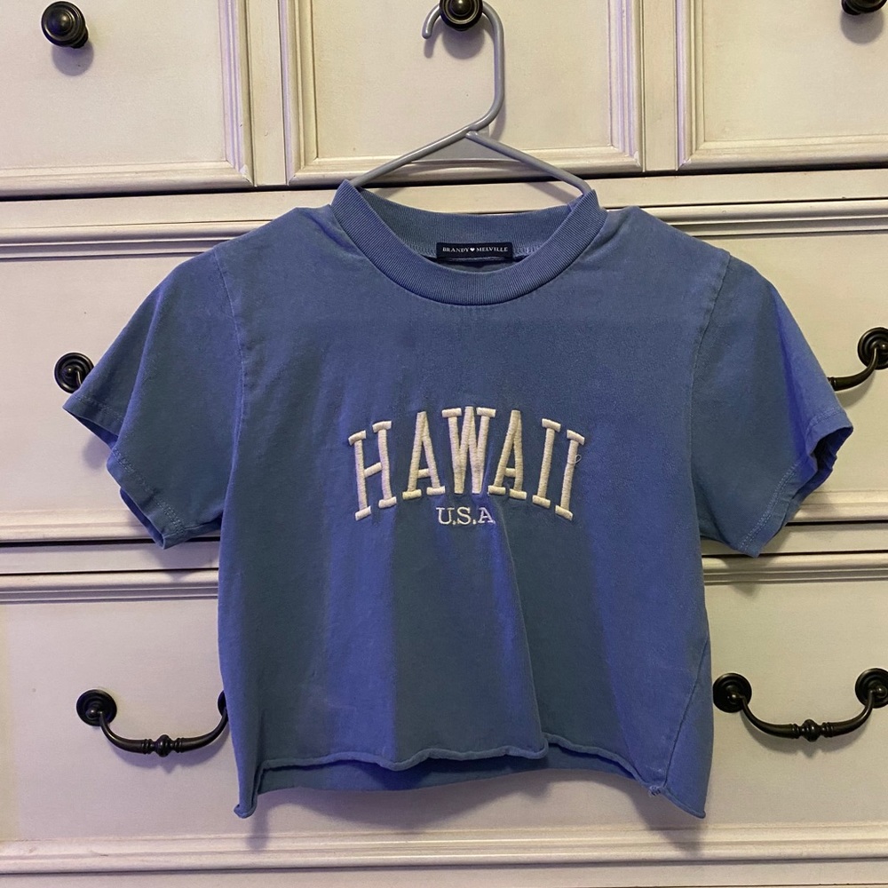 hawaii brandy melville tee